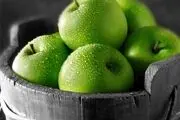 ورود سیب آمریکایی به کشور جای شرمندگی دارد 