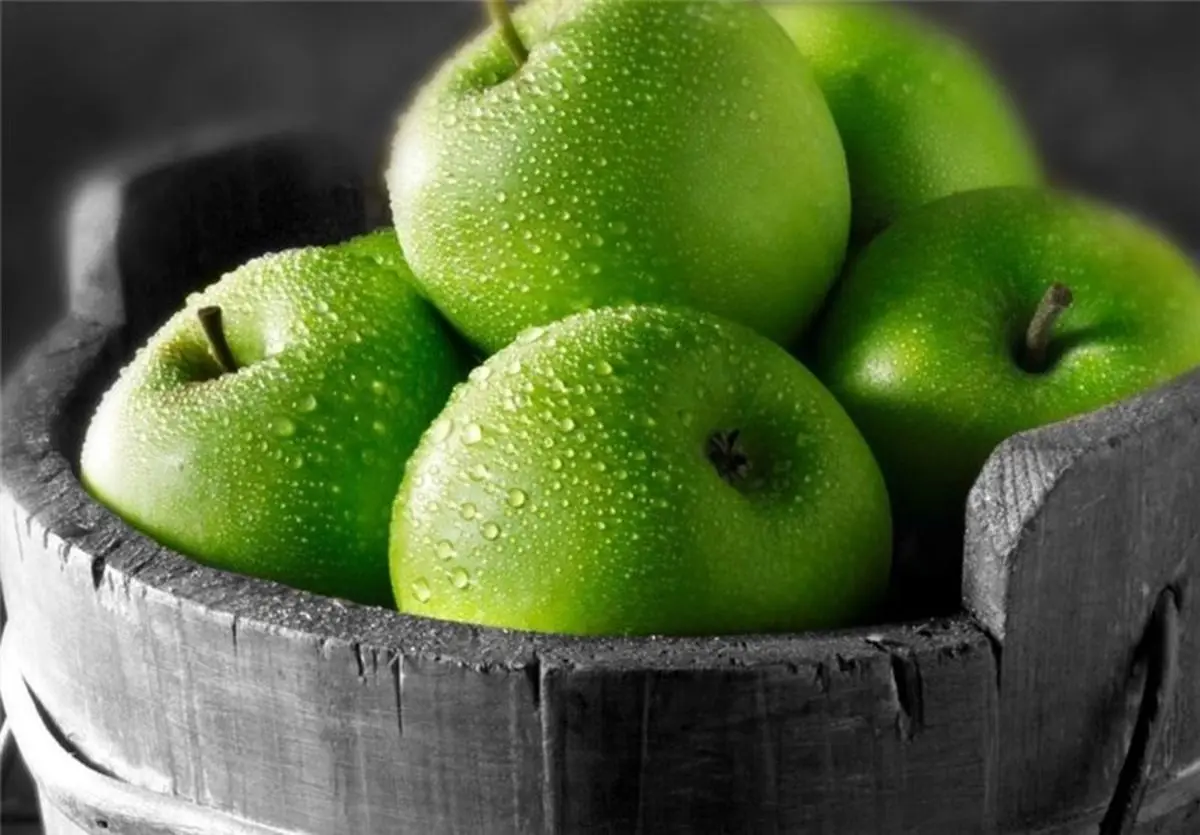 ورود سیب آمریکایی به کشور جای شرمندگی دارد
