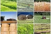  ساماندهی تعاونی‌های روستایی استان البرز پیگیری می‌شود 