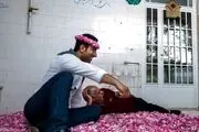 آغاز فصل گلاب گیری / گزارش تصویری