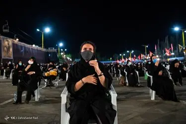14491205_530