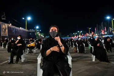 14491205_530