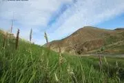 طبیعت زیبای بویین میاندشت / تصاویر