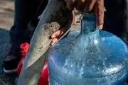 بحران آب سالم در آمریکا