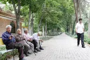 گزارش مرکز آمار ایران از افزایش خانوارهای تک‌نفره