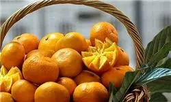 منوعیت صادرات سیب و پرتقال