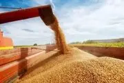 لغو ممنوعیت صادرات غلات به کشورهای اتحادیه اوراسیا توسط روسیه