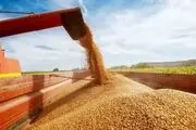 لغو ممنوعیت صادرات غلات به کشورهای اتحادیه اوراسیا توسط روسیه