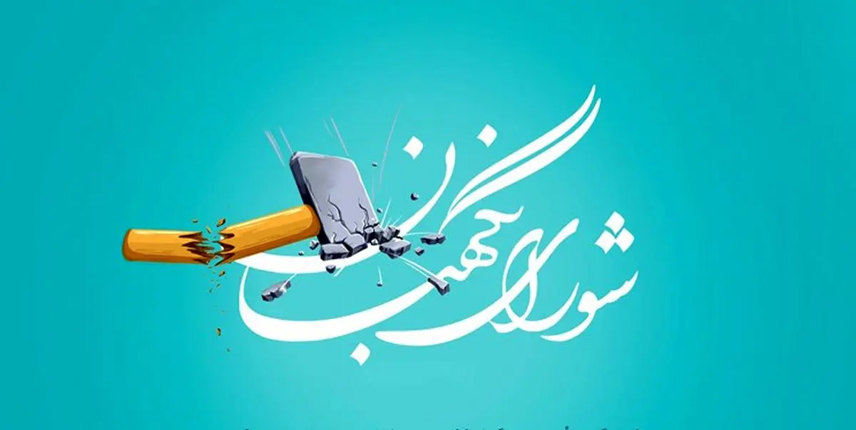 بررسی لایحه اعطای تابعیت مجدد در شورای نگهبان