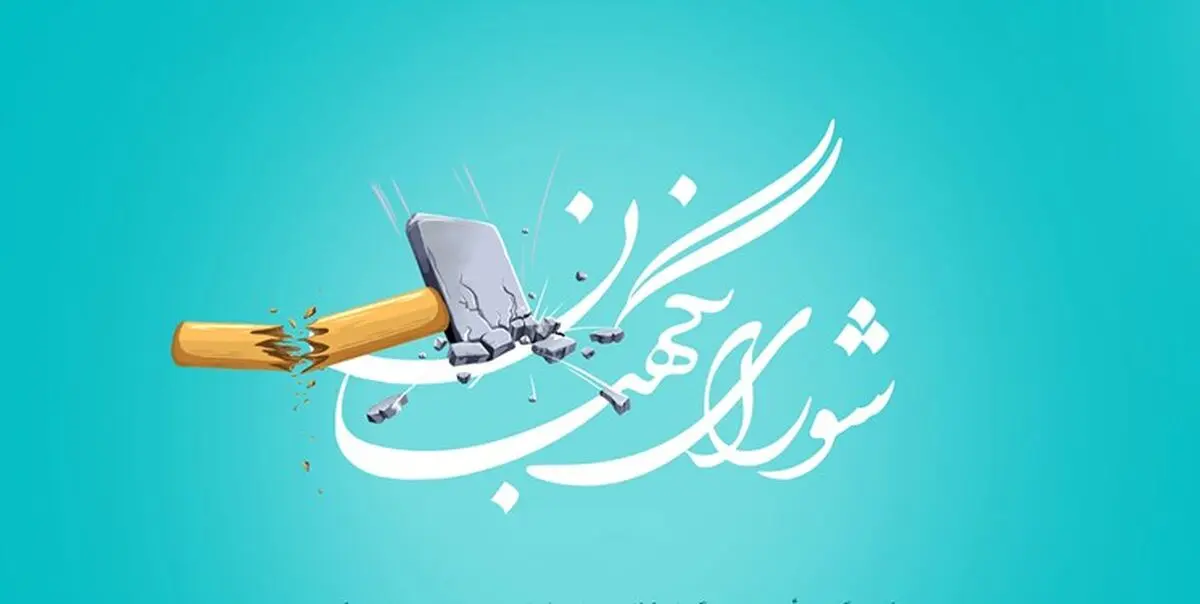 بررسی لایحه اعطای تابعیت مجدد در شورای نگهبان