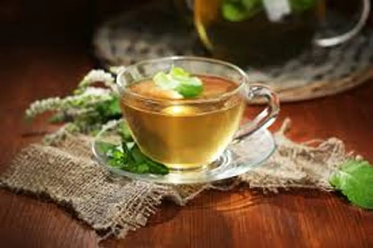 خواص باورنکردنی عرق پونه