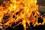 جشن بازیگران ایرانی در شب چهارشنبه سوری + تصاویر