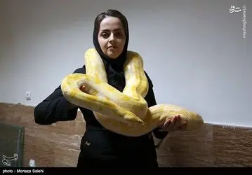 7f1AGckaSYDZ