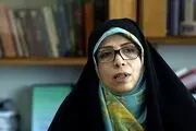 امین زاده: توسعه هسته‌ای را با جدیت پیگیری می‌کنیم