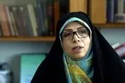 امین‌زاده: مردم به فردی رأی می‌دهند که کارها را اصلاح کند 