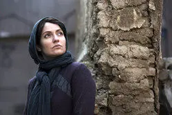 نیم نگاهی به "دارکوب" سینمای ایران