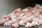 نوسانات نرخ مرغ در بازار در 21 مرداد 97