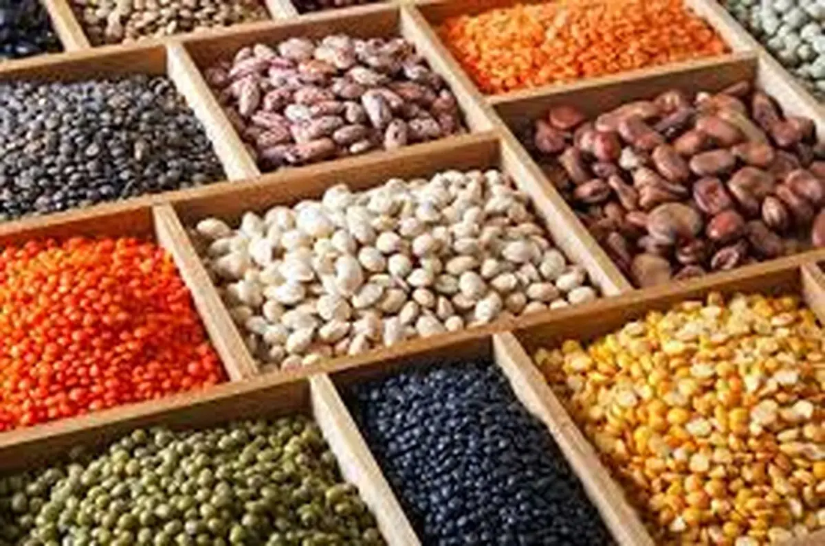 قیمت انواع حبوبات ۶ خرداد ۱۴۰۳+ جدول 
