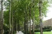 بهار در تنها باغ کهن حاشیه چهارباغ اصفهان/ تصاویر
