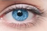 آیا چشمان شما می‌تواند آلزایمرتان را پیش بینی کند؟
