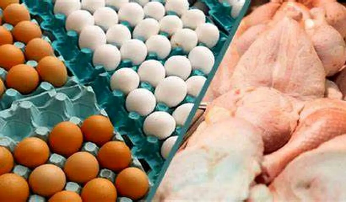 قیمت جدید مرغ و تخم مرغ در بازار