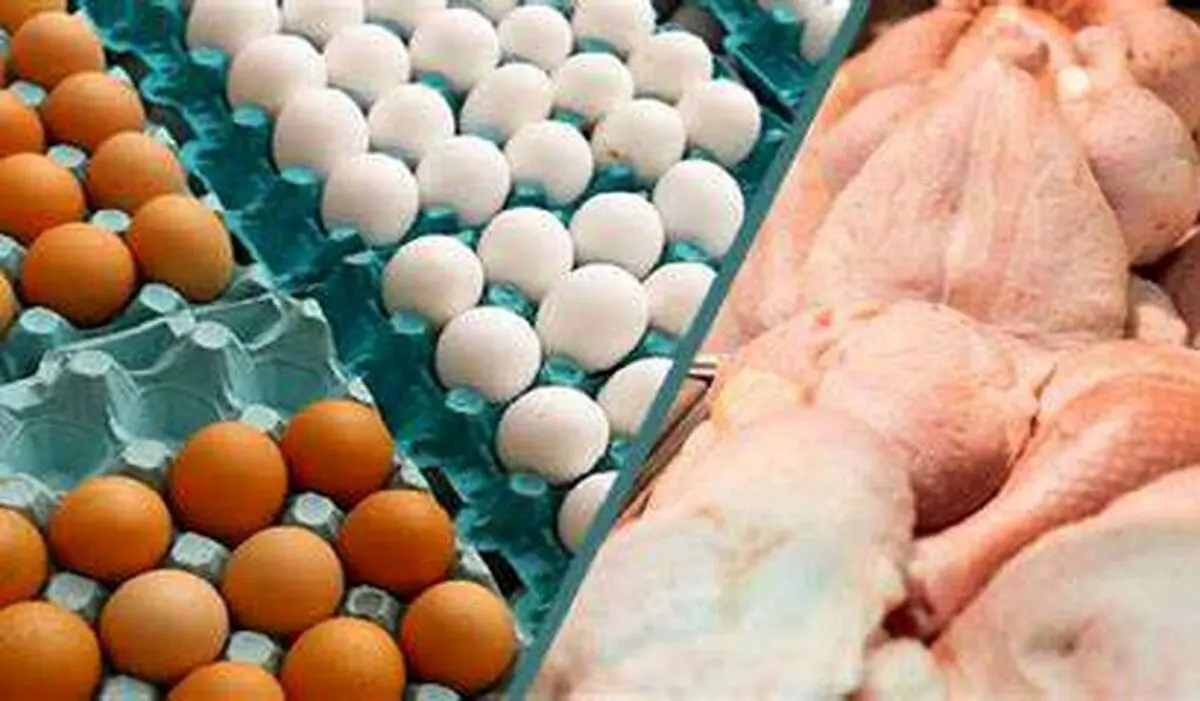 قیمت جدید مرغ و تخم مرغ در بازار