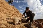 کشف چند گور جمعی دیگر در رقه