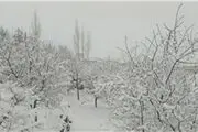  بارش شدید برف در اهر/ عکس