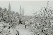  چهره زمستانی شهر گرمی اردبیل/ عکس