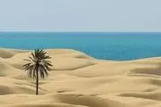  ساحل زیبا و بکر دَرَک/ عکس