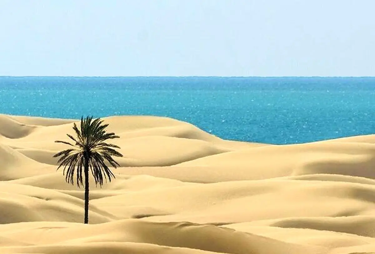 ساحل زیبا و بکر دَرَک/ عکس