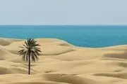  ساحل زیبا و بکر دَرَک/ عکس