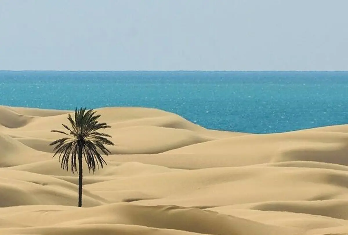  ساحل زیبا و بکر دَرَک/ عکس