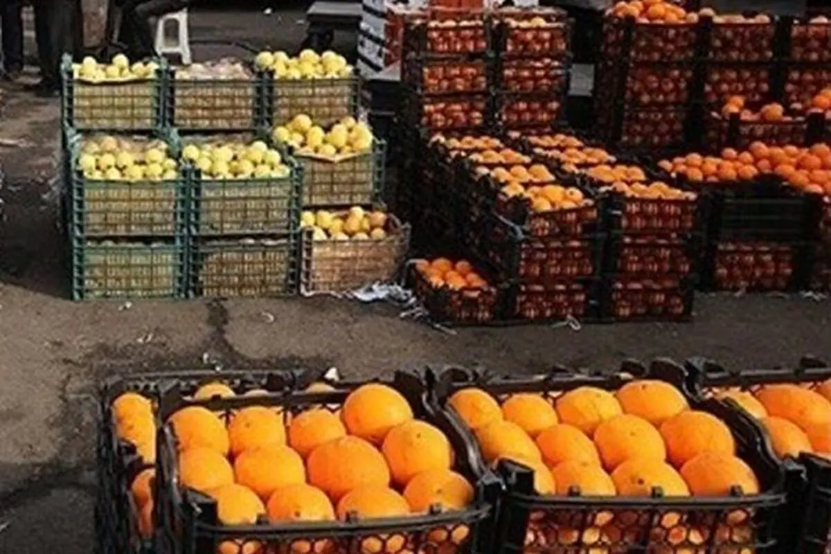 توزیع میوه شب عید شهروندان قزوینی آغاز شد