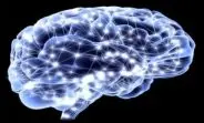 مغز چقدر الکتریسیته تولید می‌کند؟!