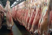 واردات گوشت قرمز، نوسان بازار را کنترل کرد