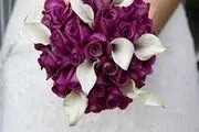 نکات مهمی که در دوران نامزدی باید رعایت شود