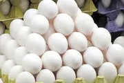 قیمت تخم‌مرغ امروز شنبه ۱۳ مرداد 
