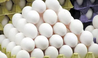 قیمت تخم مرغ امروز ۶ اردیبهشت ۱۴۰۳+ جدول