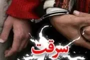 مردعنکبوتی با ۱۲ فقره سرقت منزل در فیروزآباد دستگیر شد 