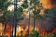 
آتش سوزی در 12هکتار از جنگل های مرزن آباد
