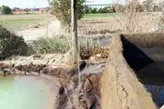  نشت نفت به چاههای آب کشاورزی اطراف پالایشگاه نفت شهید تندگویان