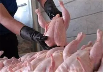 هشدار سازمان میادین میوه و تره درباره مرغ‌های آلوده