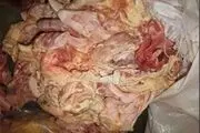 استفاده از خمیر مرغ همچنان ممنوع است