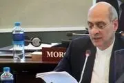 انتصاب نماینده ایران به عنوان معاون کمیته اجرایی سازمان منع سلاح‌های شیمیایی
