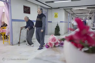 ZJXGalYMsM33