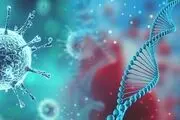 تاثیر کرونا بر تشدید فقر در جهان /اینفوگرافی