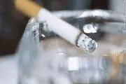 Largest - ever tobacco study finds urgent need for policy change