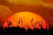 استوری ویژه شب دوم محرم 1401 +فیلم