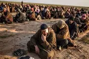 انتقال  صدها تن از سرکردگان داعش از زندان الحسکه به دیرالزور